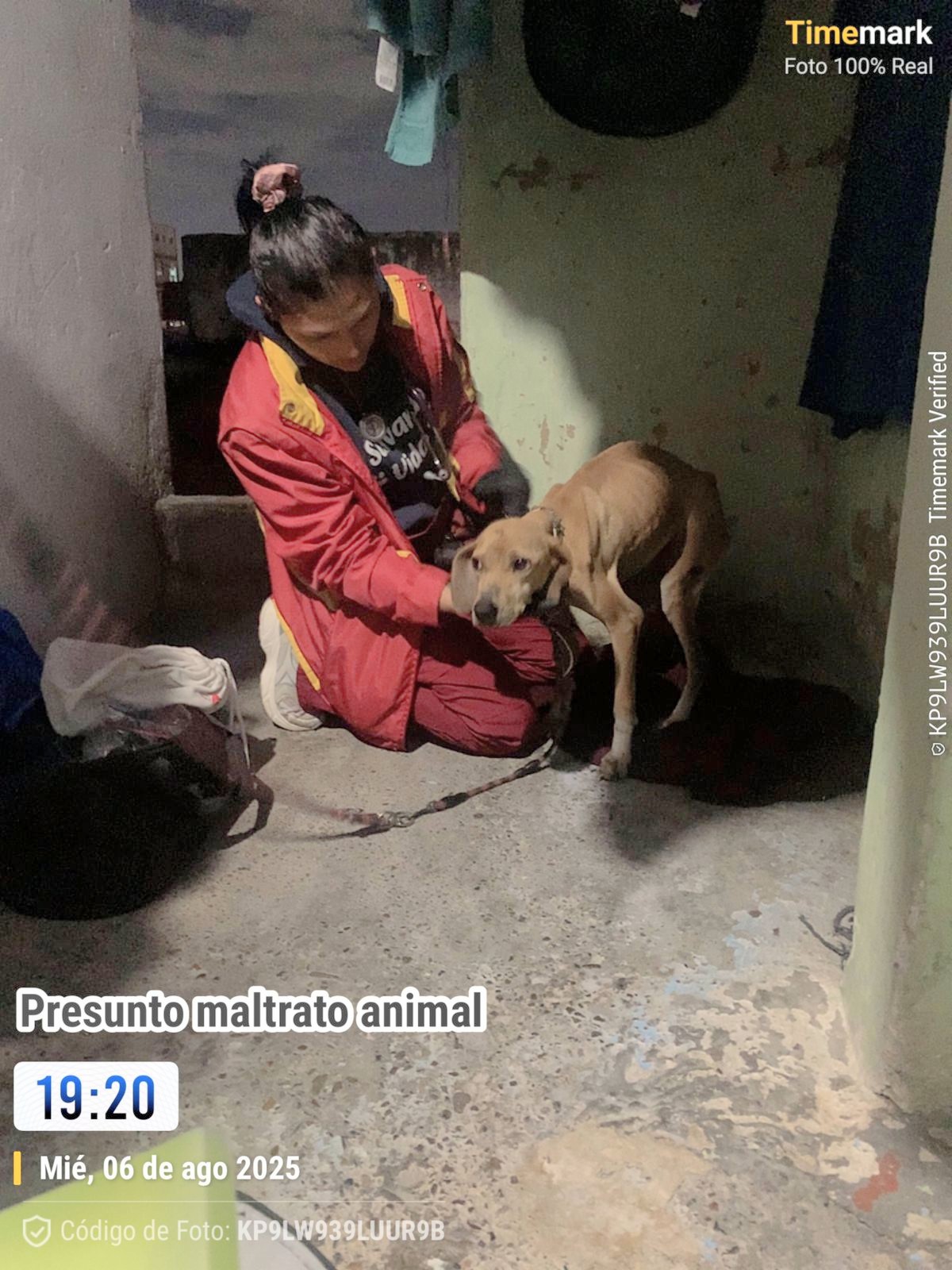 Así encontraron a Dulce
