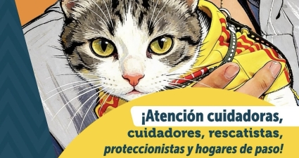 Cada acto de cuidado transforma la vida de un animal. Desde la Alcaldía Local seguimos fortaleciendo el trabajo de quienes, con amor y compromiso, abren sus puertas y su corazón para proteger y brindar una segunda oportunidad a perros y gatos rescatados. 💛  ¡Los esperamos para seguir construyendo una localidad más solidaria y amiga de los animales!