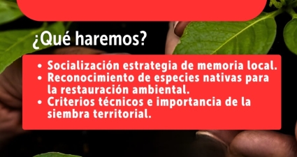 Socialización estrategia de memoria local