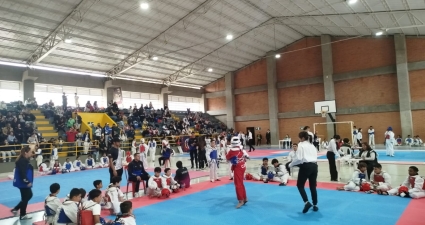 Taller de Taekwondo 