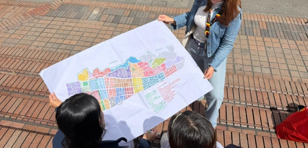 Rutas de atención en salud mental