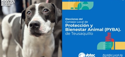 Este espacio de participación fortalece el trabajo conjunto entre comunidad, organizaciones e instituciones para promover acciones en defensa de los animales en la localidad.