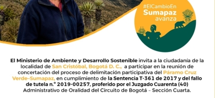 Pieza grafica informativa de convocatoria Delimitación Cruz Verde