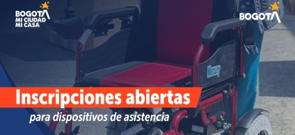 Elementos de asistencia personal para personas con discapacidad permanente