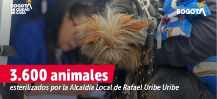Animales de Rafael Uribe Uribe beneficiados por proyecto de Protección y Bienestar Animal