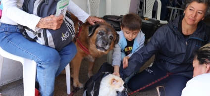 Habitantes de la localidad con sus mascotas en la brigada de bienestar animal del 9 de mayo