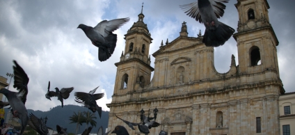 Paz Candelaria