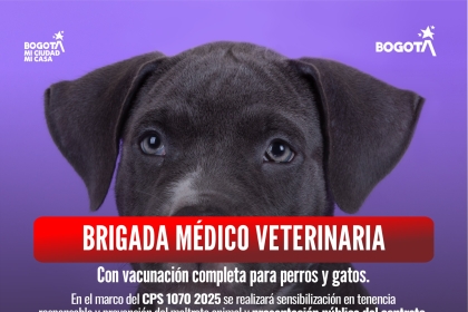 Brigada médico veterinaria