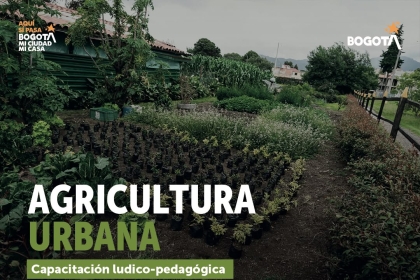 Agricultura Urbana