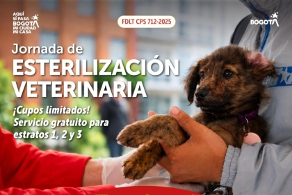 Jornada de Esterilización Veterinaria