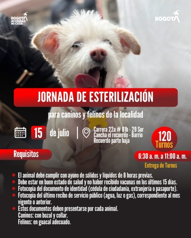 Jornada de esterilización