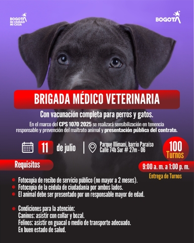 Brigada médico veterinaria