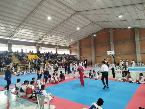 Taller de Taekwondo 