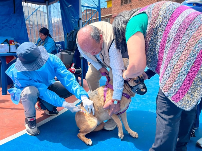 Antonio Nariño fortalece la protección y el bienestar animal con ciclo de capacitaciones para la comunidad