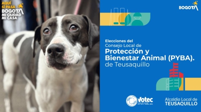 Este espacio de participación fortalece el trabajo conjunto entre comunidad, organizaciones e instituciones para promover acciones en defensa de los animales en la localidad.