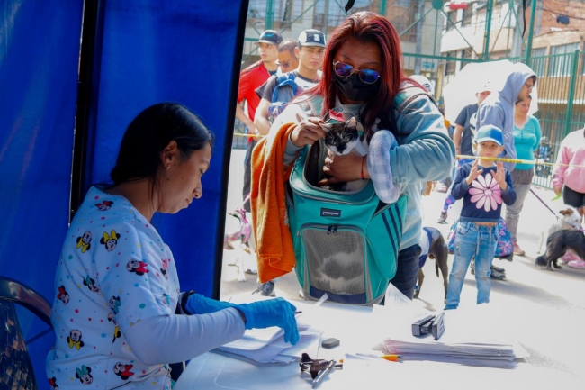  brigadas veterinarias y jornadas de esterilización en Kennedy