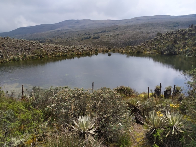 El maravilloso ecosistema del Páramo de Sumapaz