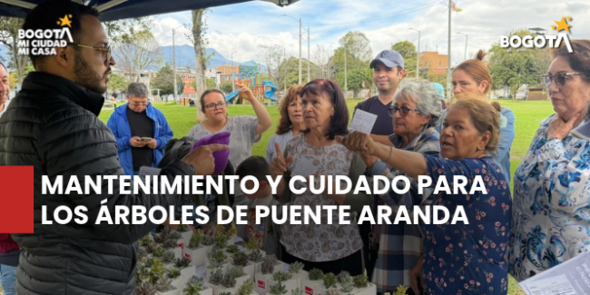 Mantenimiento y cuidado para los árboles de Puente Aranda