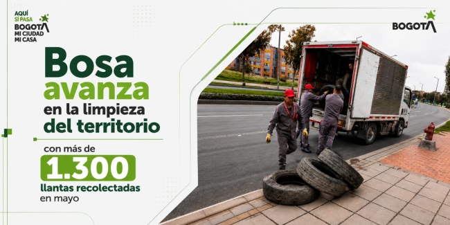 Bosa avanza 