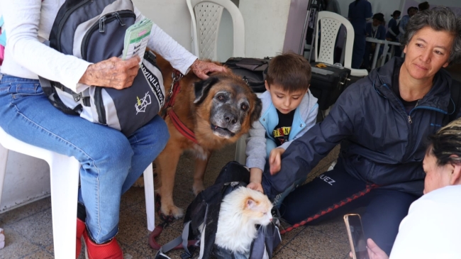 Habitantes de la localidad con sus mascotas en la brigada de bienestar animal del 9 de mayo