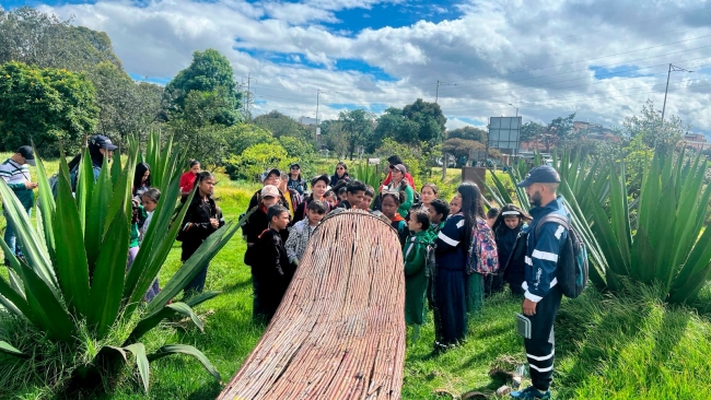Fotografía relacionada con: Estudiantes de Tunjuelito participan en la recuperación de jardines polinizadores en el Humedal El Tunjo