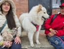 En Usme el bienestar de nuestros animales es prioridad