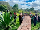 Fotografía relacionada con: Estudiantes de Tunjuelito participan en la recuperación de jardines polinizadores en el Humedal El Tunjo
