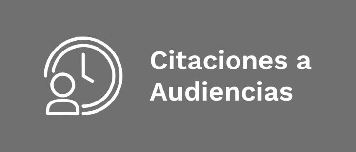 Botón citaciones a audiencias