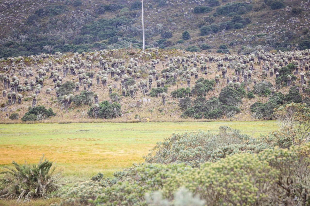 Foto panorámica del páramo