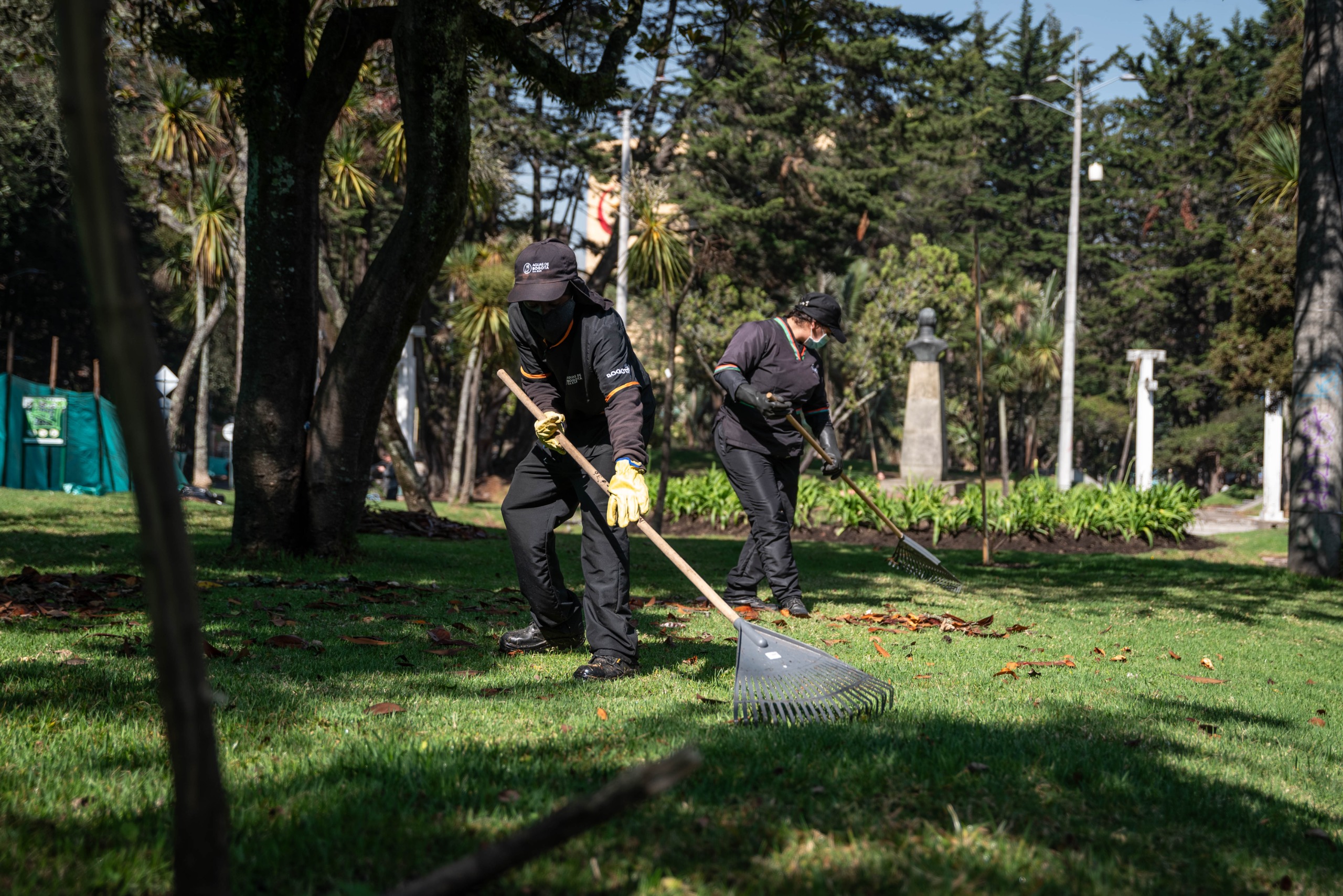 Foto de dos funcionarios de Aguas de Bogotá barriendo la hojarasca sobre el pasto en el parque