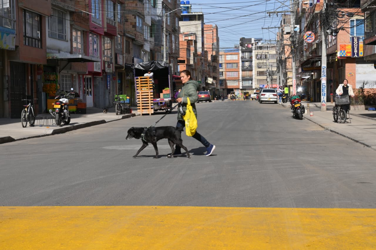 Foto de la calle pavimentada y una mujer paseando su perro.