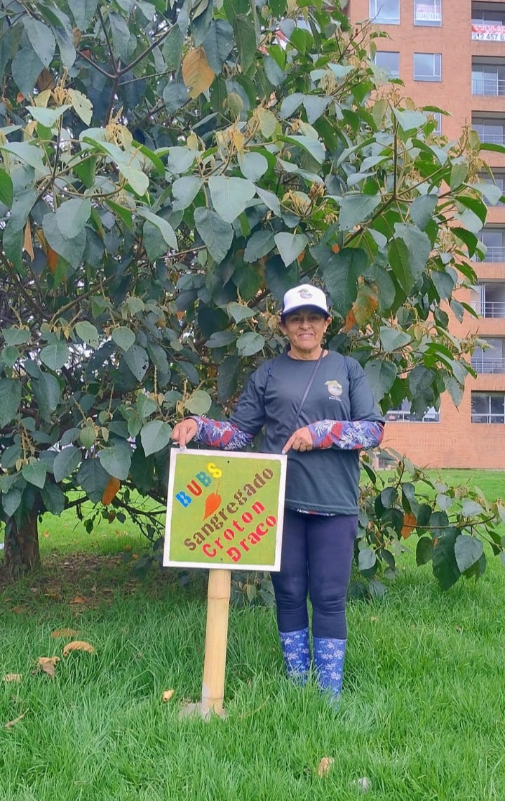 Identificación especies nativas del bosque urbano Brazo Salitre