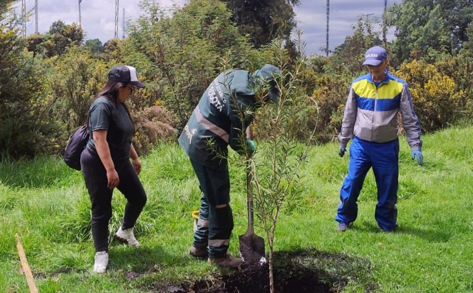 siembras en el Bosque Urbano Brazo salitre