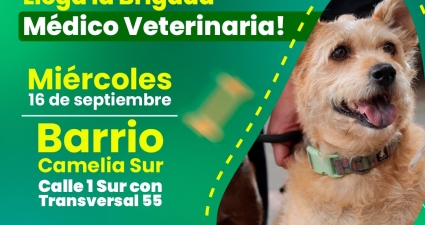 Brigada Médico Veterinaria