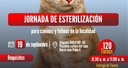 Jornada de esterilización
