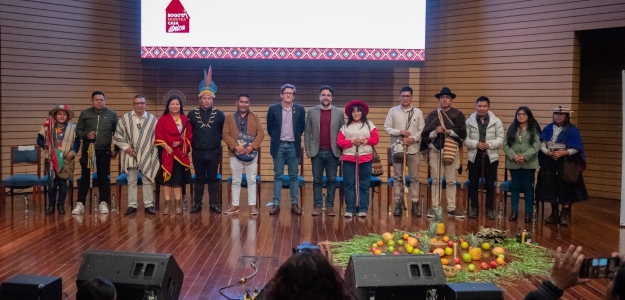 Posesión gobernadores indigenas 2026