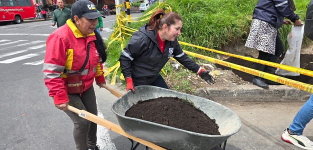 Intervención busca recuperar ambientalmente el barrio Luna Park 