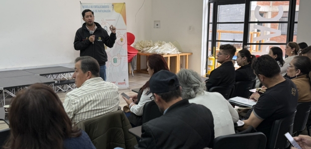 Juan Camilo Castellanos Gerencia Instancias Mecanismos Participación IDPAC