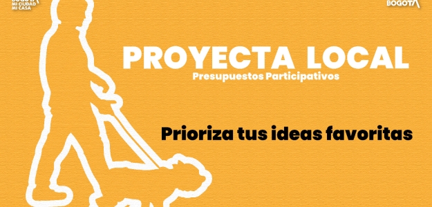 Pieza diseñada que tiene un texto que dice "Proyecta Local Presupuestos Participativos - Prioriza tus ideas"