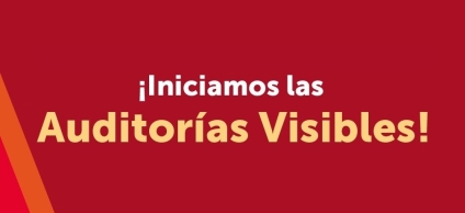 Auditorías Visibles de la Inversión Local 2023