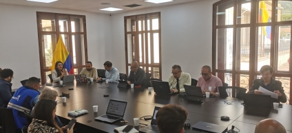 Comité civil de convivencia