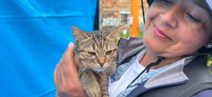 Esterilizaciones a perros y gatos en el Barrio El Rubi 