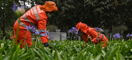 Foto tomada por Ever Mercado