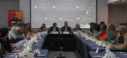 Presentación de resultados proyecta local