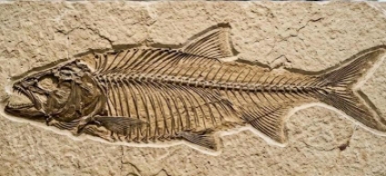 Ecos de Gigantes llega a La Candelaria