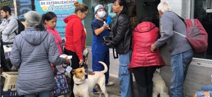 Jornada de esterilización en Barrios Unidos