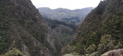 Santa Fe aprueba hoja de ruta ambiental para 2025