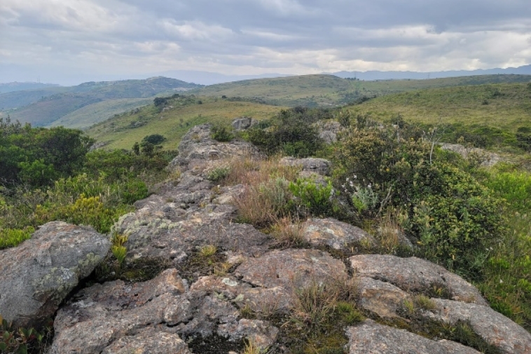 Foto panoramica de Cerro Seco