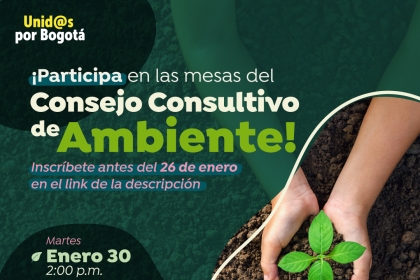 Mesas de trabajo del Consejo Consultivo de Ambiente