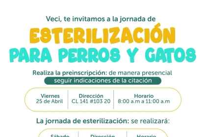 ESTERILIZACIÓN GRATIS SUBA